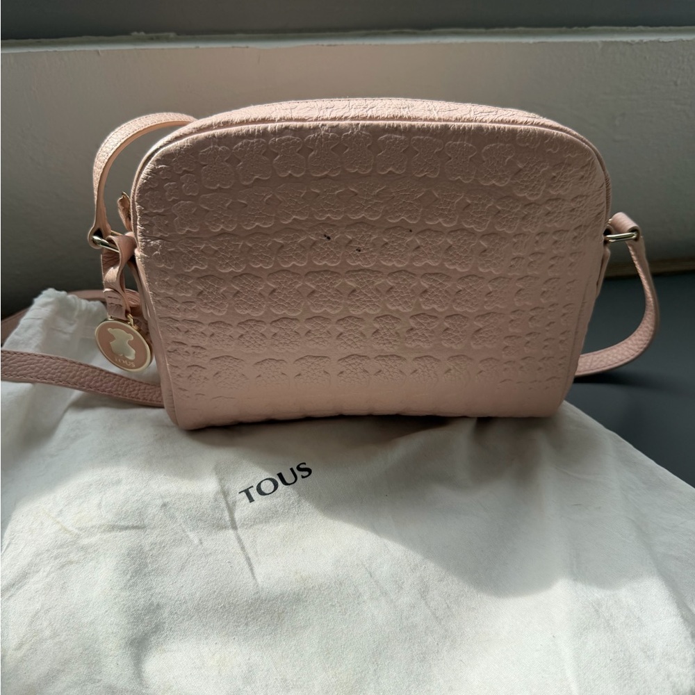 Sherton Tous Pink Crossbody Bag